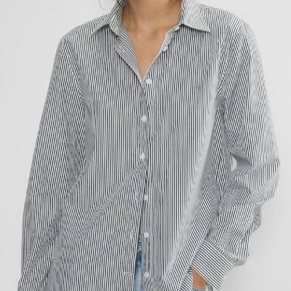 Aritzia Babaton - Letterpress Classic Poplin Shirt